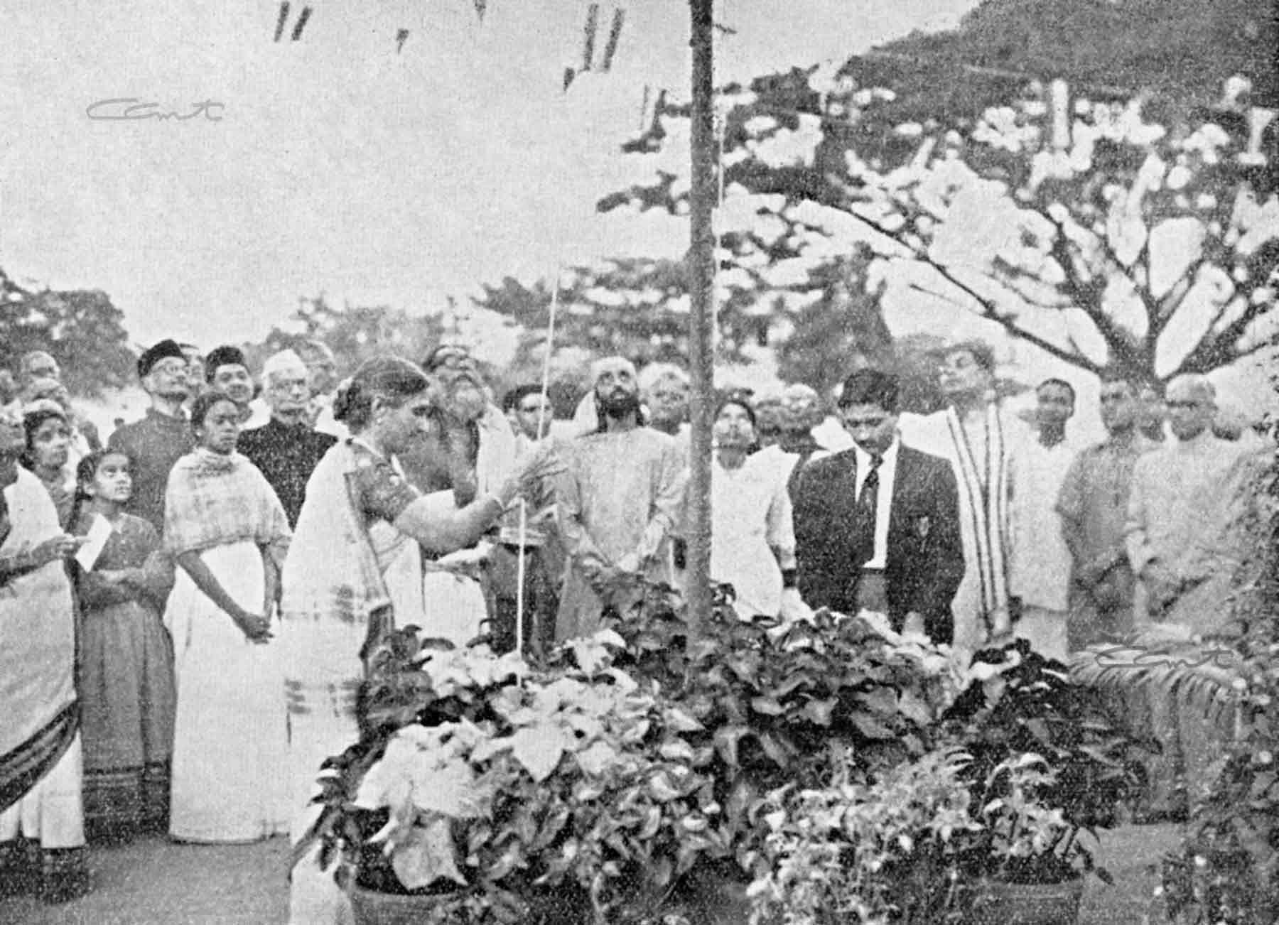 Missing {alternativeText}!!!