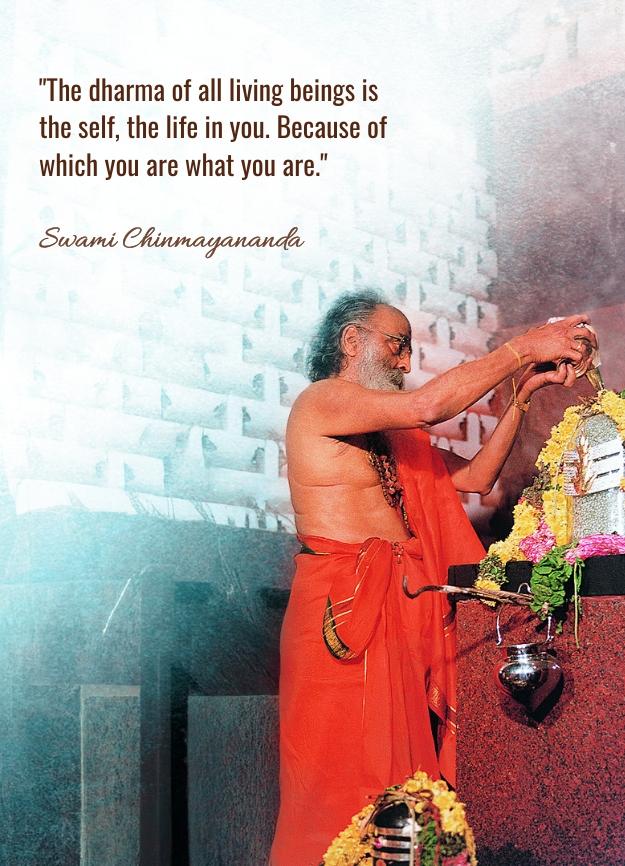 Missing {alternativeText}!!!