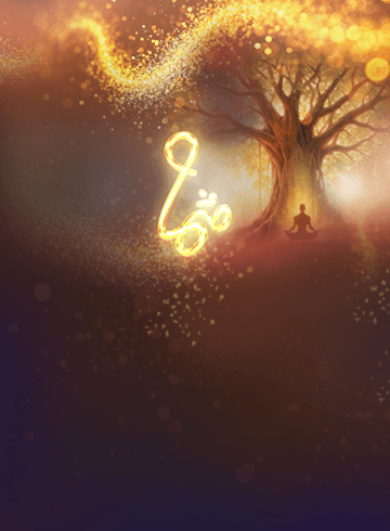 banner-image